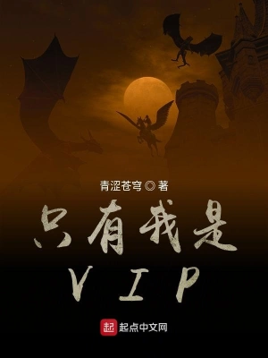 只有我是VIP cover 封面