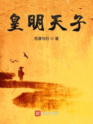 皇明天子 cover 封面
