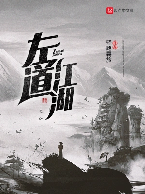 左道江湖 cover 封面