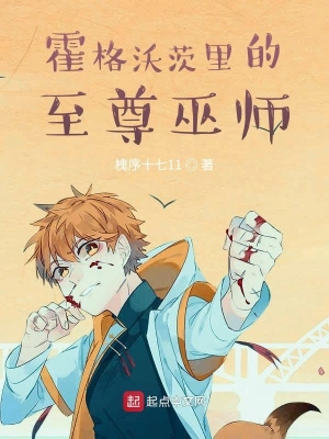 霍格沃茨里的至尊巫師 cover 封面