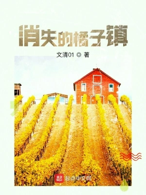 消失的橘子鎮