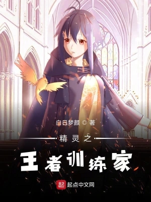 精靈之王者訓練家 cover 封面
