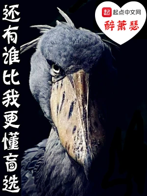 還有誰(shuí)比我更懂盲選 cover 封面