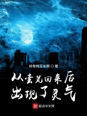 從蠻荒回來后出現了靈氣 cover 封面