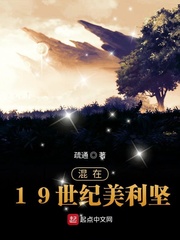 混在19世紀(jì)美利堅(jiān) cover 封面