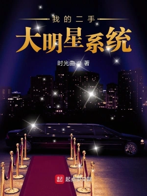 我的二手大明星系統