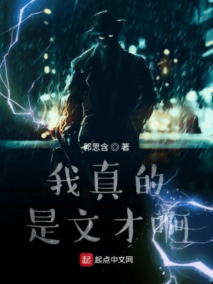 我真的是文才啊 cover 封面