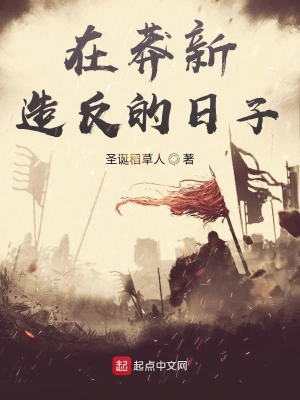 在莽新造反的日子 cover 封面