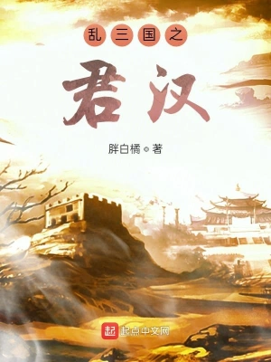 亂三國之君漢 cover 封面