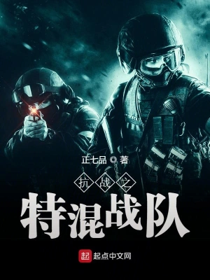 抗戰(zhàn)之特混戰(zhàn)隊