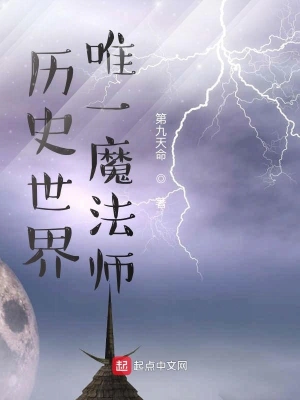 歷史世界唯一魔法師 cover 封面
