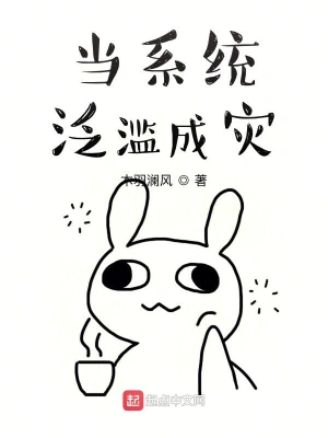 當(dāng)系統(tǒng)泛濫成災(zāi) cover 封面