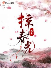 掠春光 cover 封面