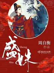 盛姝 cover 封面