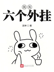 我有六個外掛 cover 封面