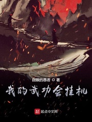 我的武功會掛機 cover 封面