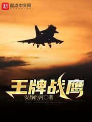 王牌戰鷹 cover 封面