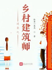 逆襲之鄉村建筑師 cover 封面