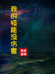 我的技能沒傷害 cover 封面