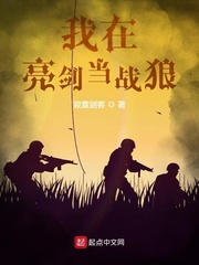 我在亮劍當戰(zhàn)狼