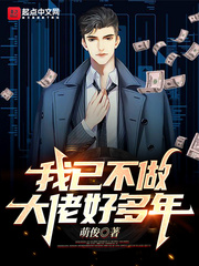 我已不做大佬好多年 cover 封面