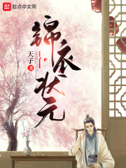 錦衣狀元 cover 封面