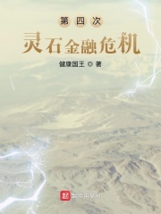 第四次靈石金融危機(jī)