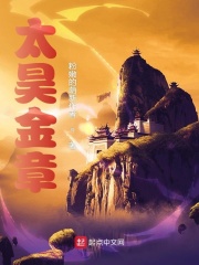 太昊金章 cover 封面