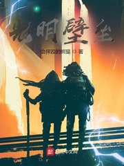 光明壁壘 cover 封面