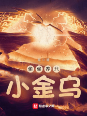 偷偷養只小金烏 cover 封面