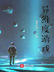 異維度游戲 cover 封面