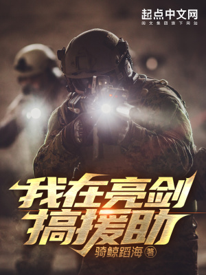 我在亮劍搞援助 cover 封面