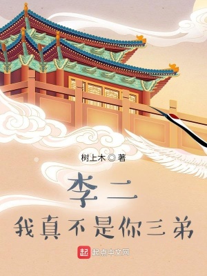 家兄李世民 cover 封面