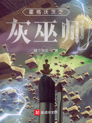 霍格沃茨之灰巫師 cover 封面