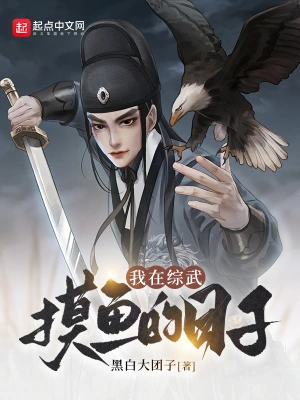 我在綜武摸魚的日子 cover 封面
