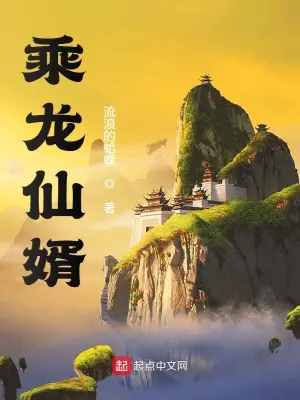 乘龍仙婿 cover 封面
