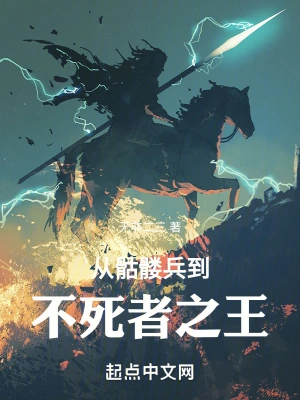 從骷髏兵到不死者之王 cover 封面