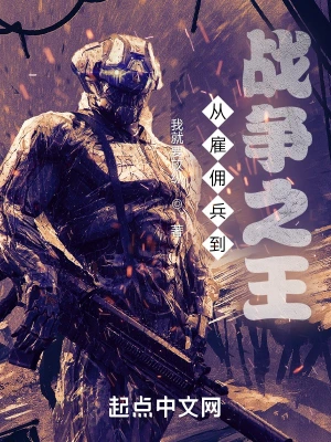 從雇傭兵到戰(zhàn)爭之王 cover 封面
