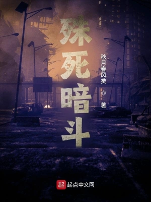 殊死暗斗 cover 封面
