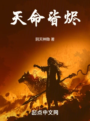 天命皆燼 cover 封面