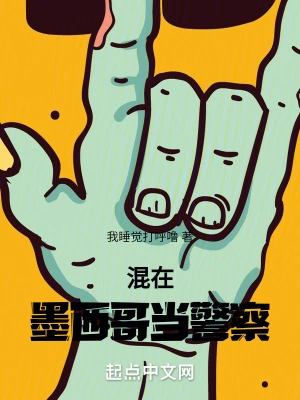 混在墨西哥當(dāng)警察 cover 封面