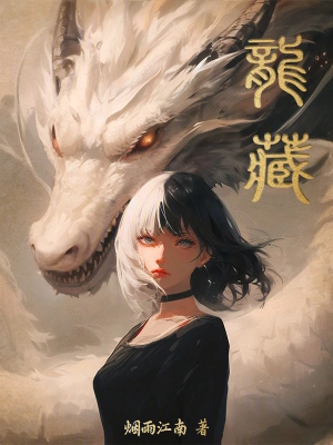 龍藏 cover 封面