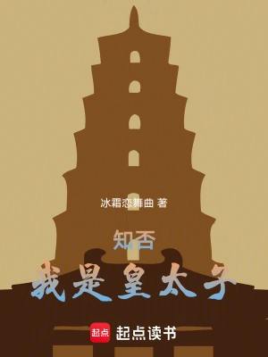 知否：我是皇太子 cover 封面