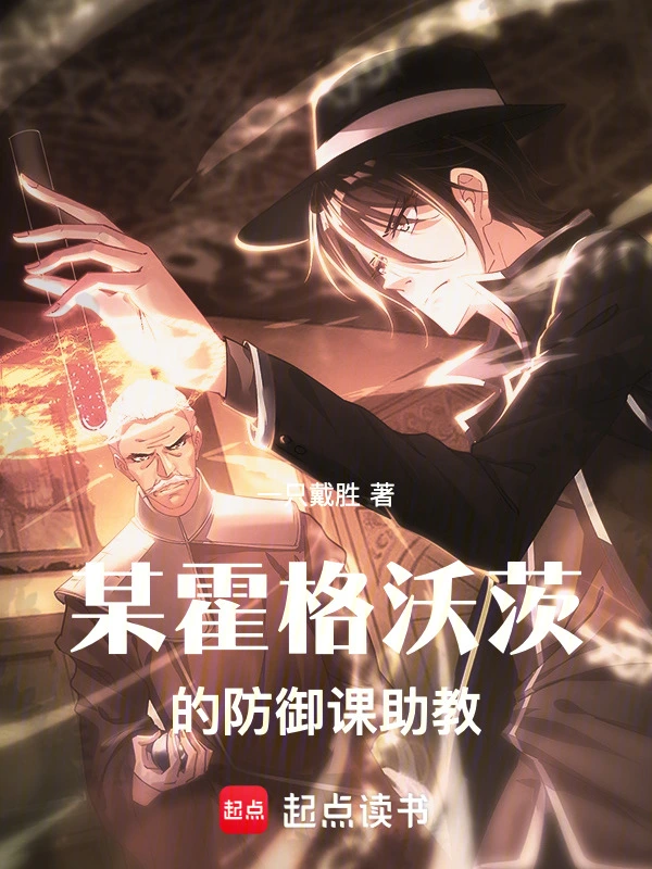 某霍格沃茨的防御課助教 cover 封面