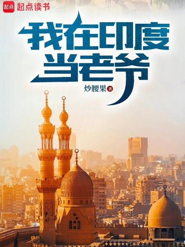 我在印度當老爺 cover 封面