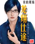 龍翔仕途 cover 封面